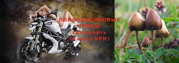 гидропоника Белокуриха