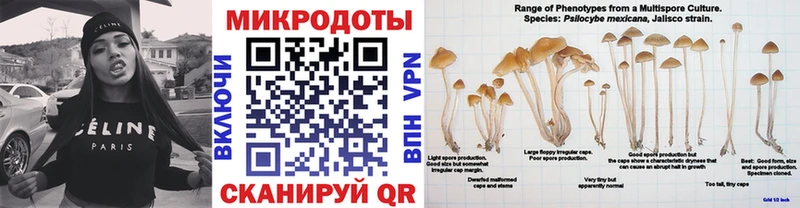 Купить закладки  Ростов  Псилоцибиновые грибы Psilocybine cubensis 